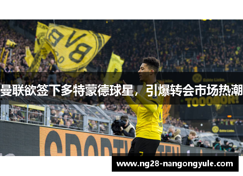 曼联欲签下多特蒙德球星，引爆转会市场热潮