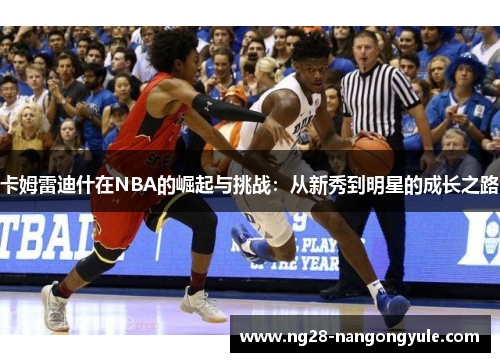 卡姆雷迪什在NBA的崛起与挑战：从新秀到明星的成长之路